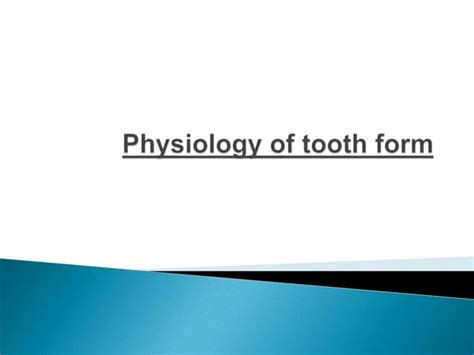 Physiology Of Tooth Form Ppt