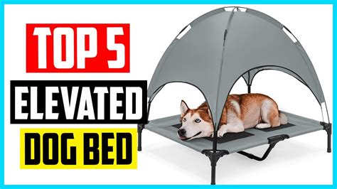 Best Elevated Dog Bed Youtube