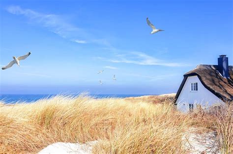 Hiddensee Buchen Sie Jetzt G Nstig Auf Ostsee Urlaub Reise