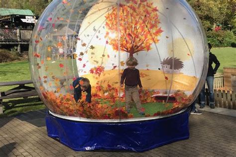 Giant Snow Globe Hire Odin Events