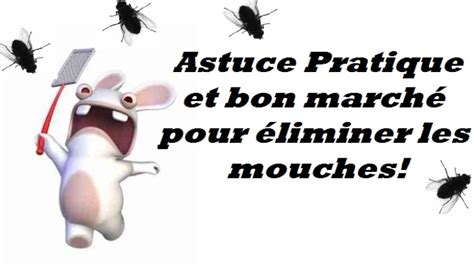 Que Faire Contre Les Mouches L Astuce Pratique Qui Ne Co Te Rien