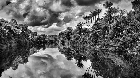 Influential Photographer Sebastião Salgado on Capturing the Majestic