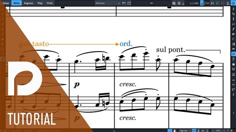 Playing Techniques Improvements New Features In Dorico 3 Youtube