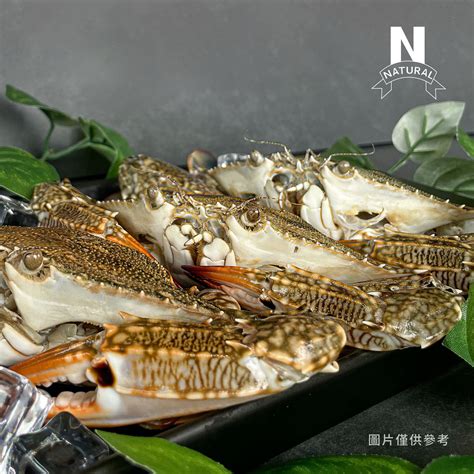 藍蟹 Blue Crab 園芯貿易有限公司