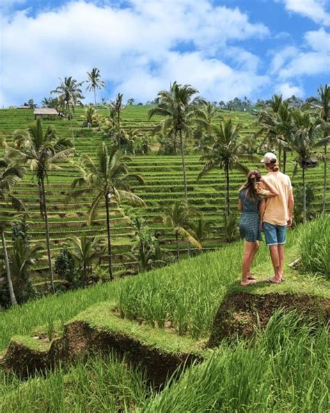 Bali Unesco Sites Ulun Danu Jatiluwih Tanah Lot Temple Getyourguide