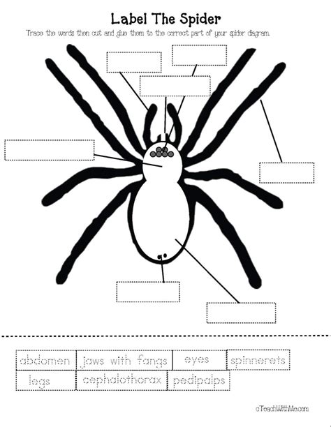 Free Printable Spider Worksheets - Printable Word Searches