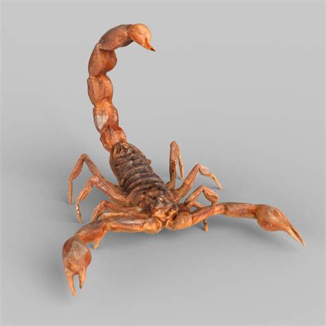 Scorpion 3d Model 20 Max Free3d