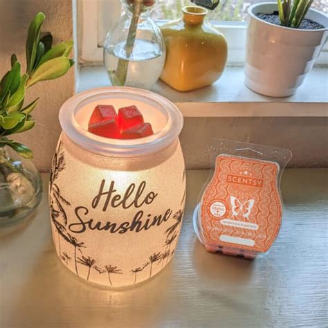 Scentsy Sunshine State Of Mind Collection Scentsy Store