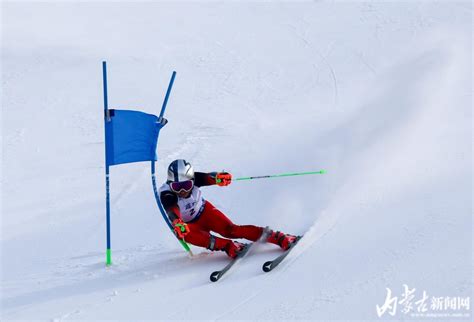 十四冬”】高山滑雪公开组女子大回转项目收官 新闻中心 内蒙古新闻网