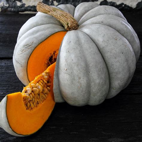 Organic Jarrahdale Pumpkin Seeds - 1/4 LB Bulk ~450 Seeds - Organic ...