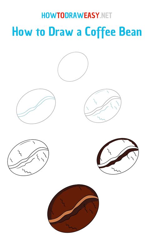 How To Draw A Coffee Bean How To Draw Easy