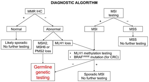 Cancers Free Full Text Lynch Syndrome From Carcinogenesis To