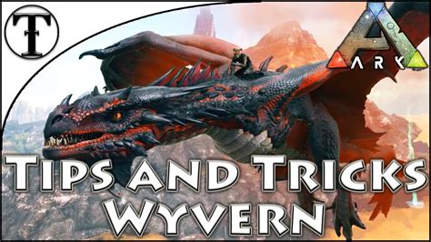 Fast Wyvern Taming Guide Ark Survival Evolved Tips And Ticks Youtube