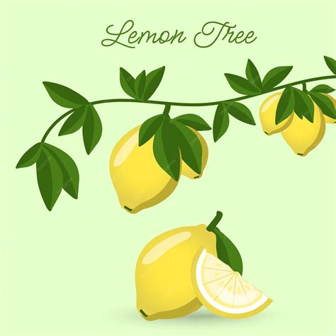 Premium Vector Lemon Tree Leaves In Vector