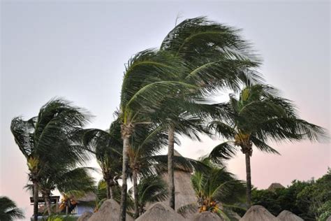 Cuándo se considera viento fuerte Descubre la velocidad