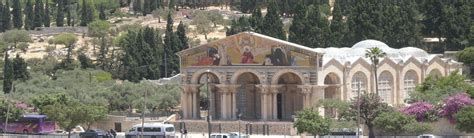 Pictures Of The Garden Of Gethsemane Fasci Garden