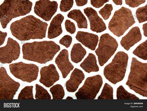 Giraffe Spots Image & Photo (Free Trial) | Bigstock