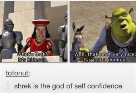 Dreamworks, Shrek Memes, Shrek Quotes, Shrek Funny, Funny Quotes, Funny ...