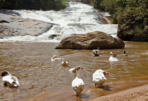 Socorro Serra Negra E Guas De Lind Ia Tr S Timos Destinos No