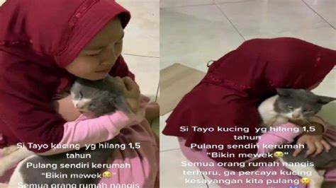 Video Viral Bikin Baper Kucing Pulang Ke Rumah Setelah Tahun Hilang