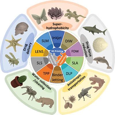 Review On D Printing Of Bioinspired Structures For Surface Interface