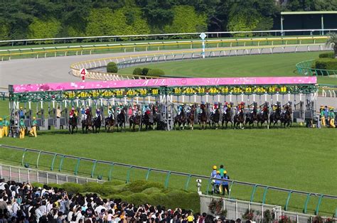 【オークス（優駿牝馬）2023予想】本命馬5選と穴馬5選・コース解説と適性馬5選・血統馬5選・過去10年データ分析と傾向3連単 ｜ 3連単6