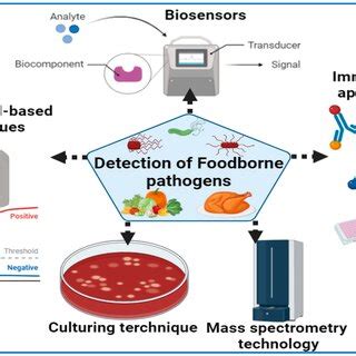 Detection Of Foodborne Pathogens Using Various Diagnostic Approaches