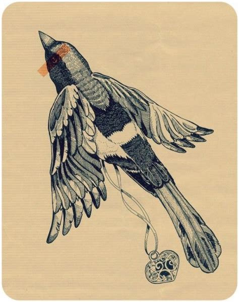 1000+ images about Illustrated Birds on Pinterest | Owl illustration ...