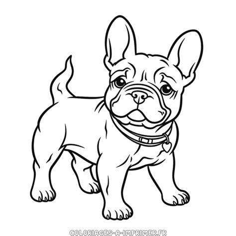 Coloriage Mignon Bouledogue Français Coloriages à Imprimer Gratuitement