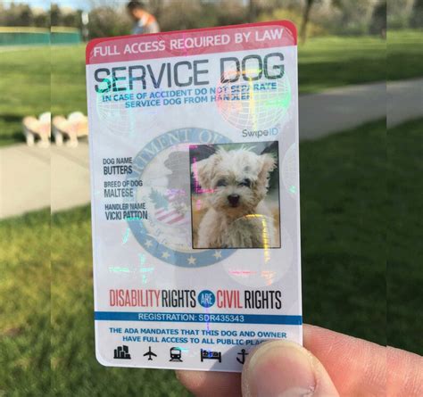 Service Dog Id Card Customized Holographic ESA High | Etsy