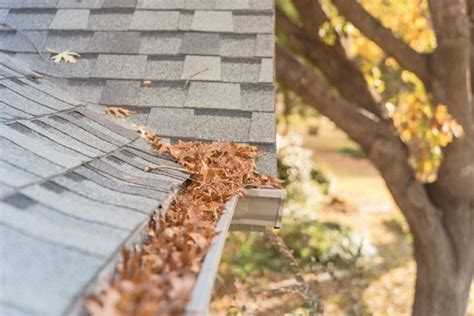 Gutter And Downspouts Are Important Homepro Inspections Homepro