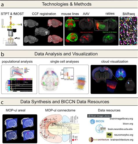 Overview Of Methods Analyses And Resources Used And Generated By The