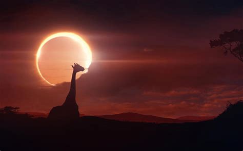 Total Solar Eclipse Wallpapers - Wallpaper Cave