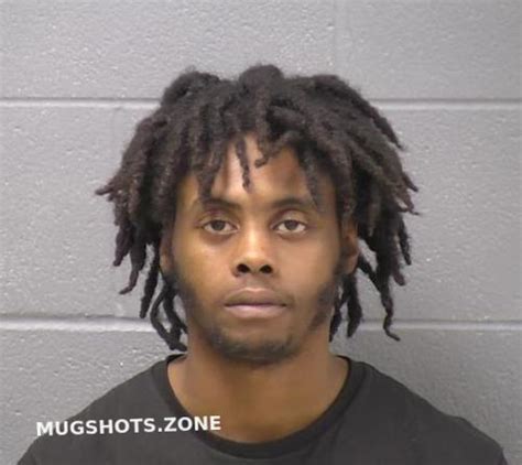 Ivy Jayveon Will County Mugshots Zone