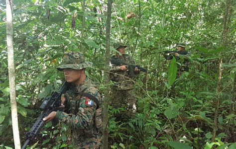 Senafront Descubre Antiguo Campamento De Las Farc En La Provincia De