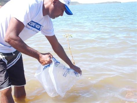 Codevasf Lan A Mil Peixes Da Esp Cie Nativa Na Barragem Salinas