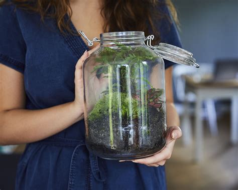 Terrarium care: 5 mistakes to avoid to keep yours healthy | Gardeningetc