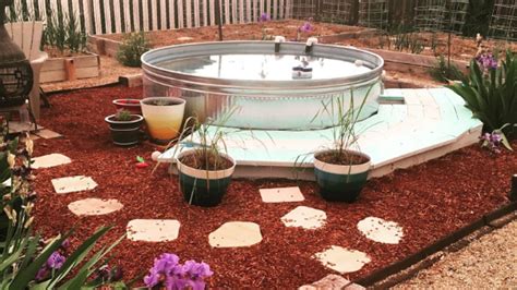 How To Create A Diy Stock Tank Pool The Ultimate Guide Rooted