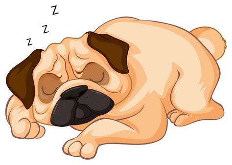 Little Dog Sleeping On White Background 300948 Vector Art At Vecteezy