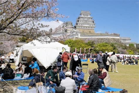 花見酒、4年ぶり満喫 姫路城観桜会 飲酒解禁、おでん販売も｜姫路｜神戸新聞next