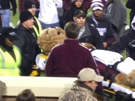 mississippi state mascot injured on Field – eCanadaNow