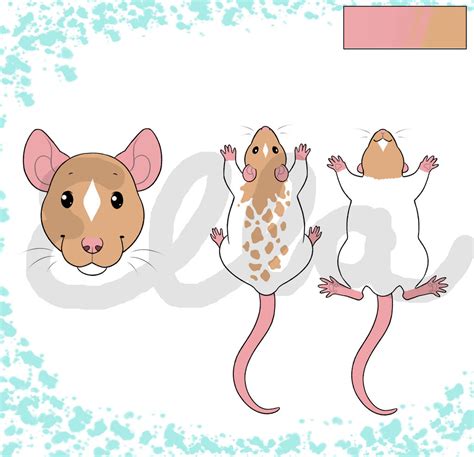 Caramel Fawn Rat Closed By Allforadopts On Deviantart