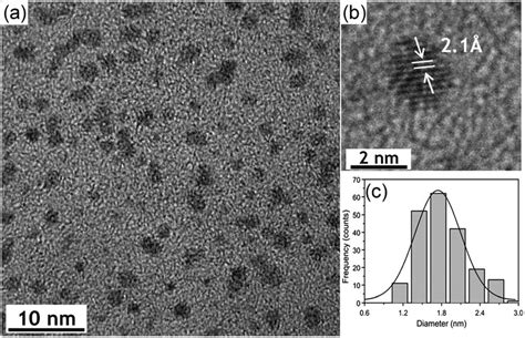 A Shows A Transmission Electron Microscope Tem Image Of The