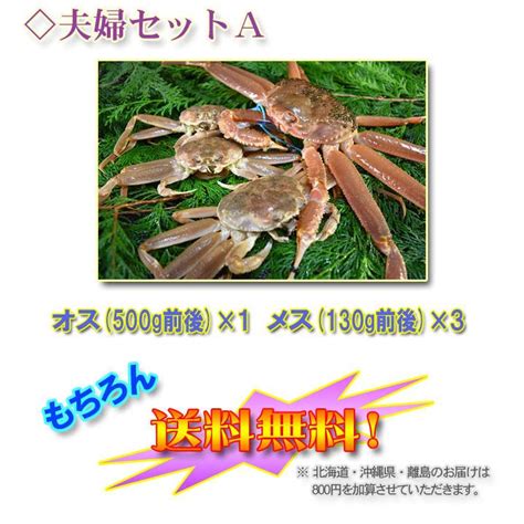 【送料無料】金沢より活発送！最高級！ズワイガニめおとセットa（加能ガニ・香箱ガニ・勢子ガニ・親ガニ・カノウガニ・コウバコガニ・セイコガニ・セコ