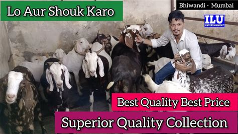 Superior Quality Collection Best Quality Best Price Lo Aur Shouk Karo