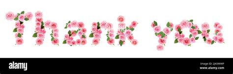 text     flowers  white background stock photo alamy