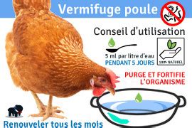 Vermifuge poule Tous nos conseils utilisation et précaution