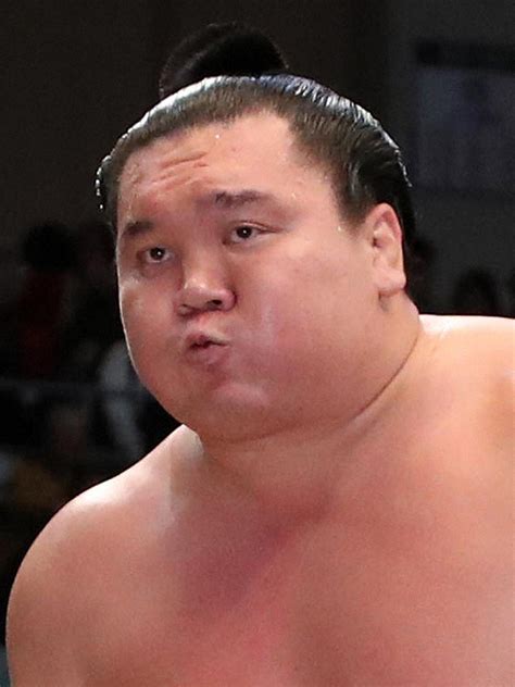 大相撲春場所 白鵬、初日に大栄翔と対戦 照ノ富士は北勝富士と― スポニチ Sponichi Annex スポーツ