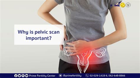 Why is pelvic scan important?| Prime Fertility Center