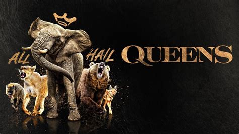 Queen On OTT: All About Release Date, Plot, Platform & More